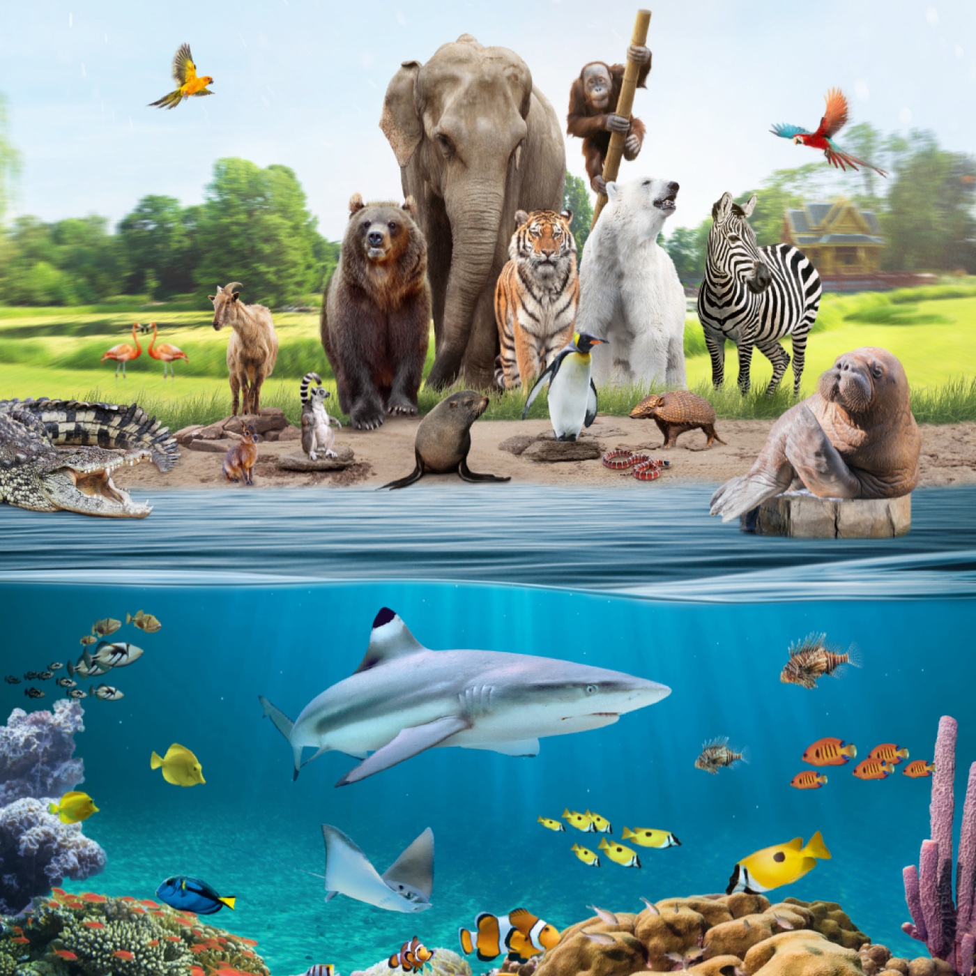 Bild für Tierpark Hagenbeck – Hamburgs tierisches Original