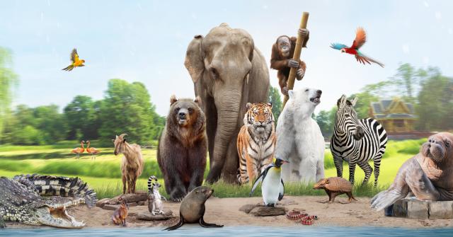 Tierpark Hagenbeck Motiv mit vielen Tieren als Gruppe